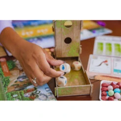 Stonemaier Games Wingspan: Asia (Labor Day Sale) -Z Man Games Store STM906 4